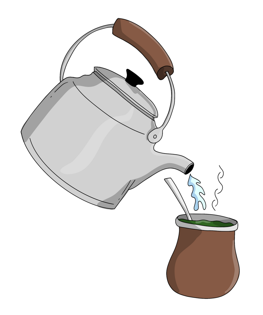 mate, south american drink